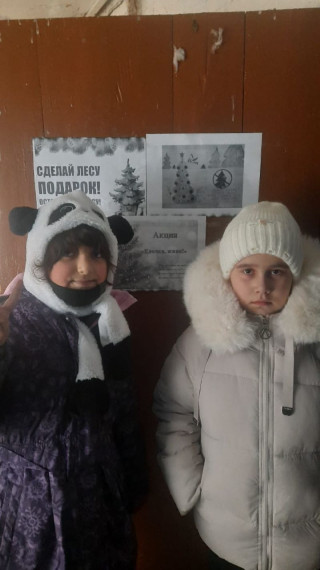 Экологическая акция «Ёлочка, живи!»..